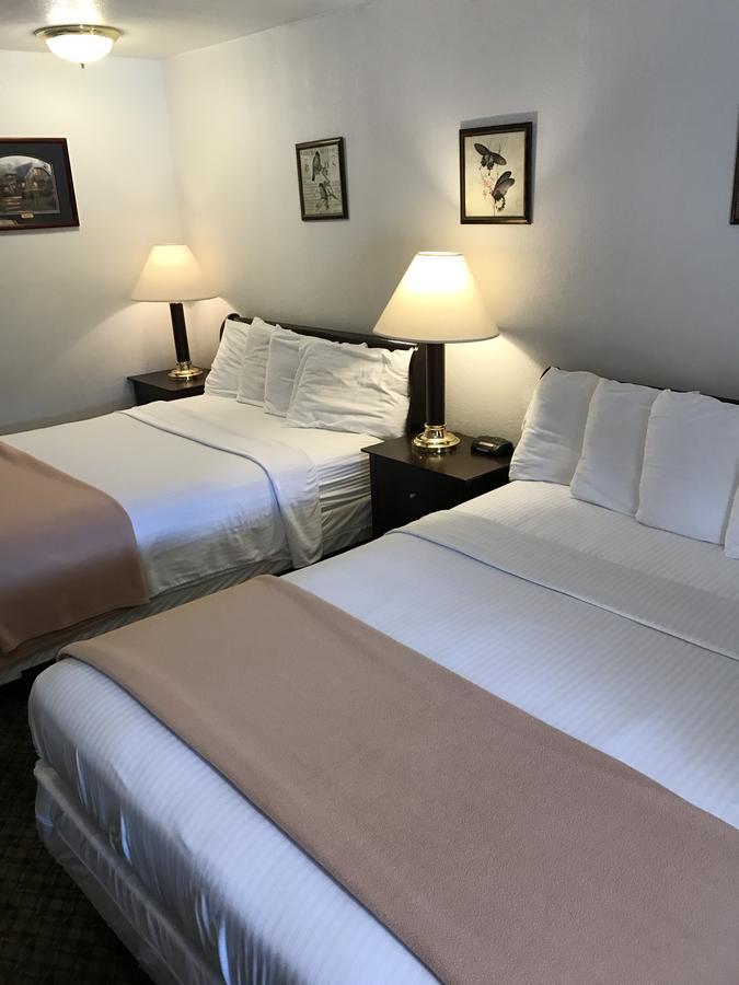 Gold Pan Lodge Quincy Luaran gambar